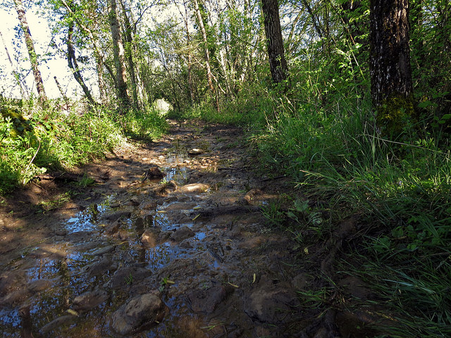 19954569702_b4d6b50edd_z