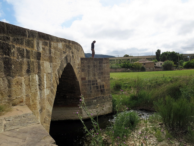 20692015314_ab7cfe7095_z