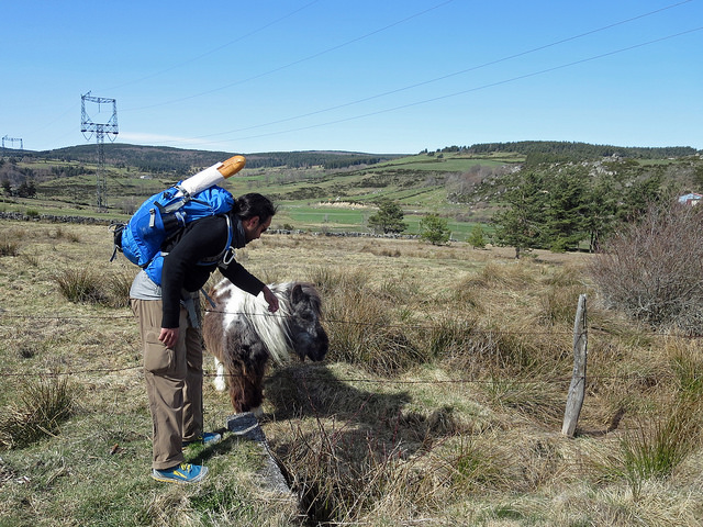 19962545155_4c6c9e5141_z