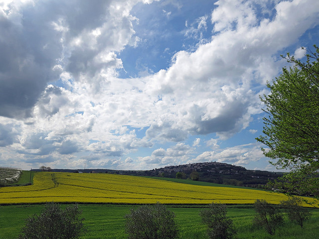 20080891250_89b341efb4_z