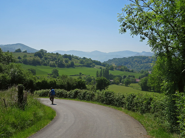 21105635116_43f5229a02_z