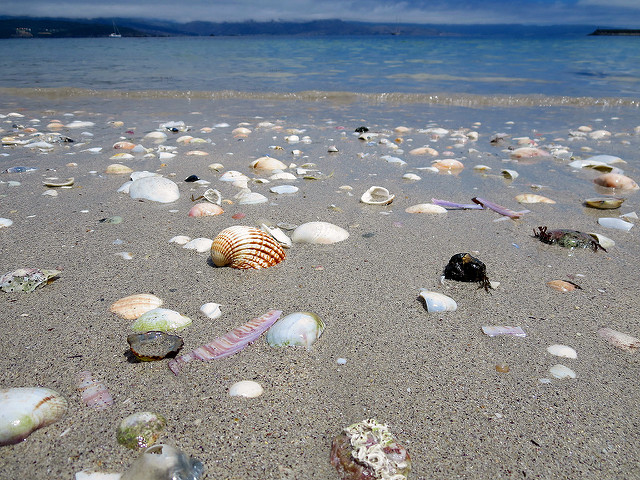 22606892811_e0bf5e5f37_z