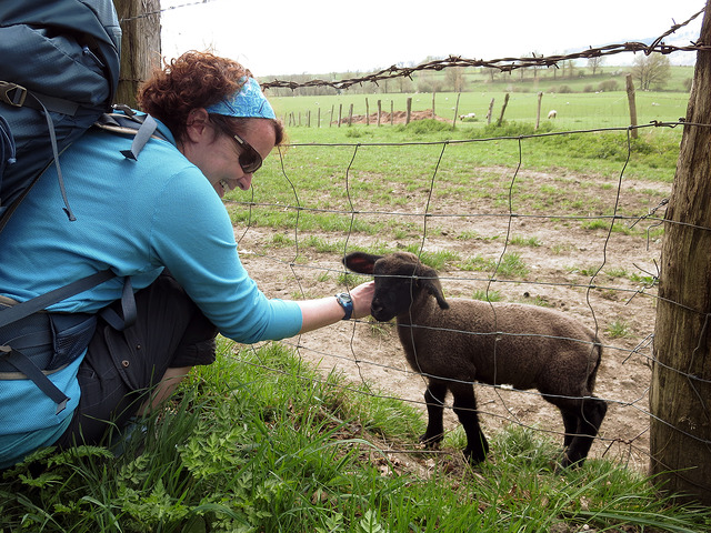 19962356595_aed270241a_z