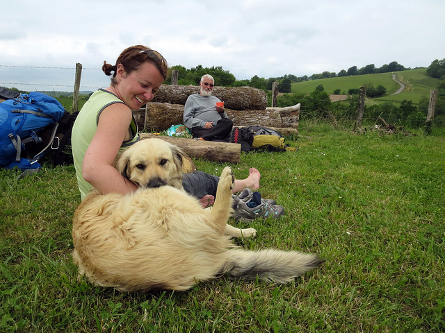 20944035540_062f18715d_z