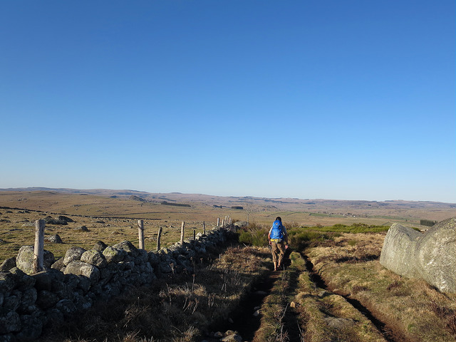 19775757799_7d12db2e72_z