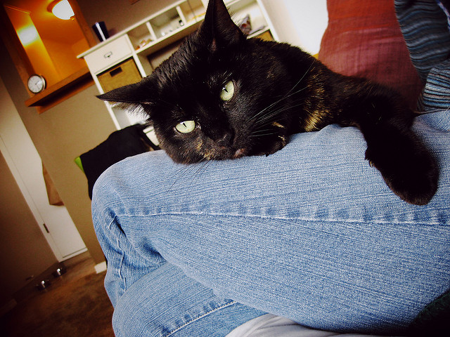 4154034755_567abde4da_z