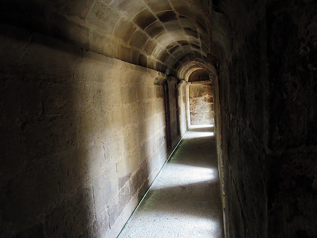 20693554723_2434ca0f9a_z