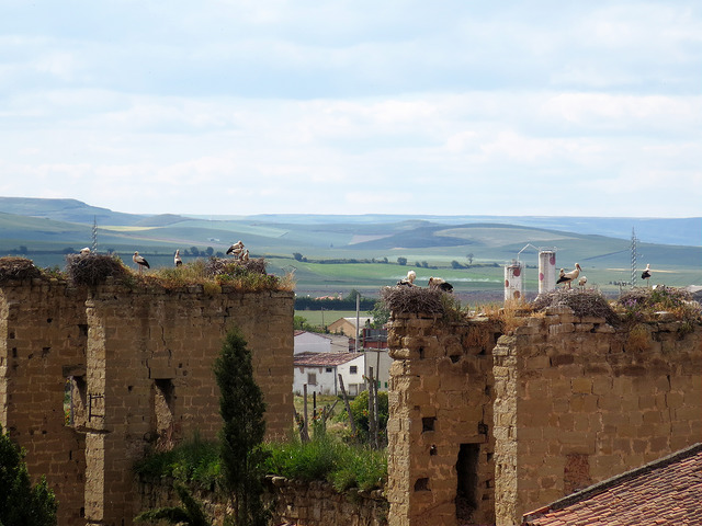 21126756848_0d7ed5b1cc_z