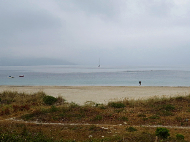 22595735475_c42740235c_z