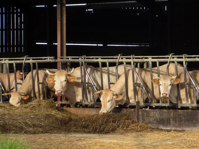 20080409100_0db825a04b_z