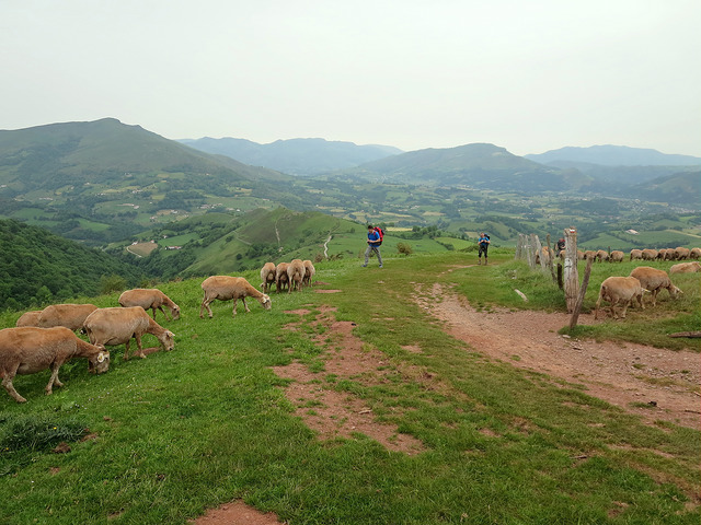 21131773415_b0a17f72f4_z