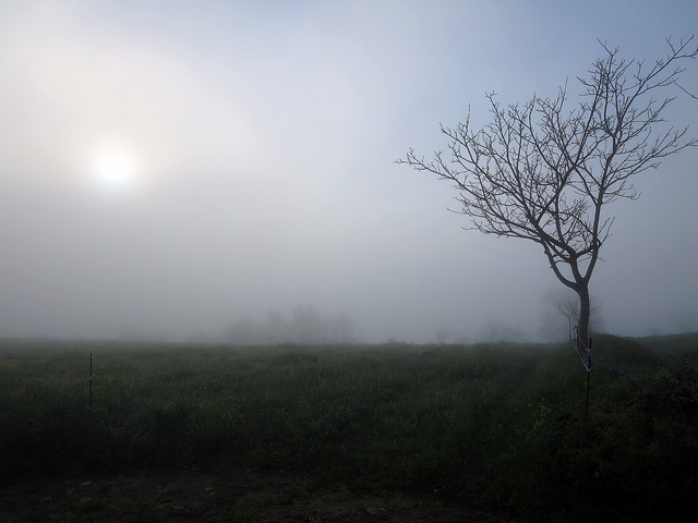 19962286085_572bd1d949_z