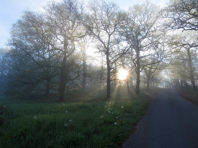 19774277400_aeac87afb3_z