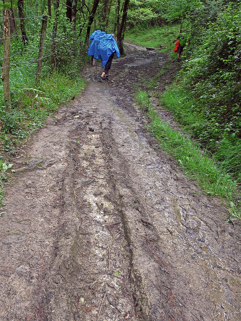 41226005850_e3a5a14392_z