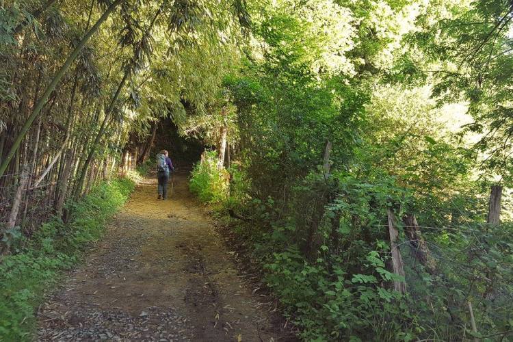 35126876_10155973279043557_4492323860749746176_o