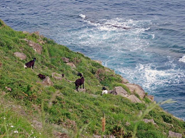 28274688417_5a95837138_z