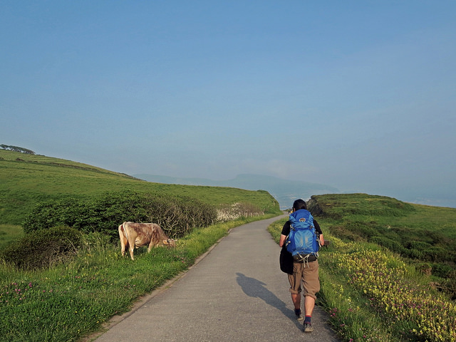 29272470298_7d2497f40c_z