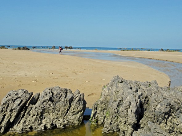 42326077385_685a54e377_z