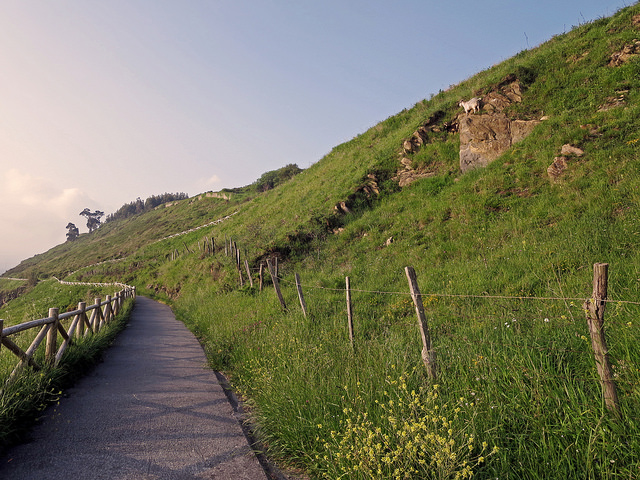 42425375384_fec9f7af9b_z