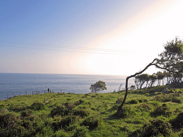 43094059482_45f4141246_z