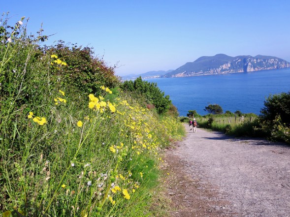 43144019981_cf5748c63c_z