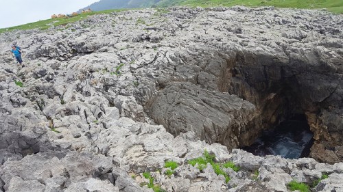 43243209852_d745da00cc_z