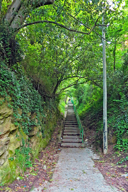 43513827934_2c0863d613_z