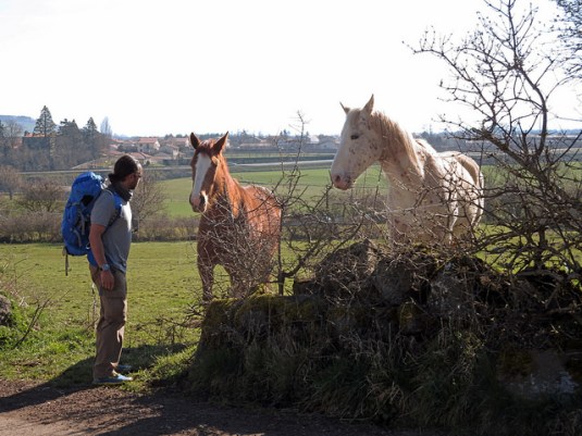 19382880438_858c27ed6a_z