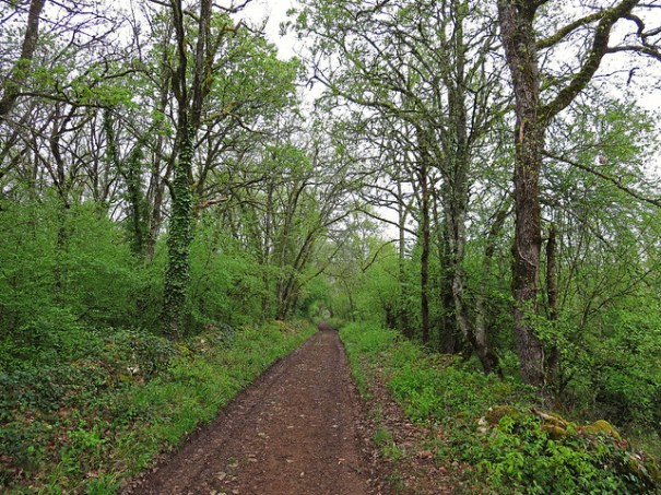 The Romans built their roads flat and straight