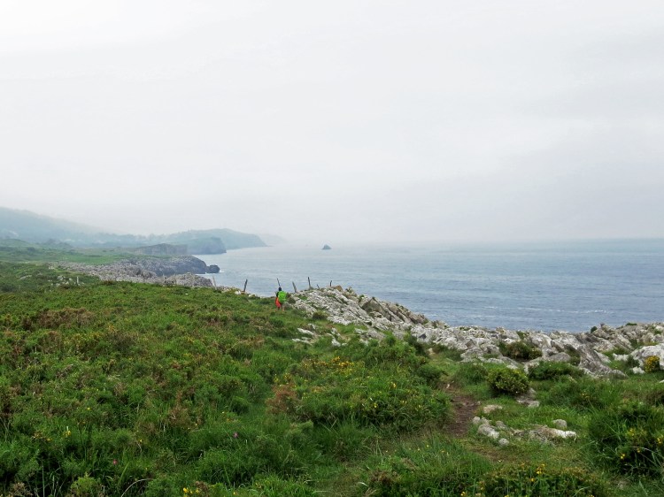 43292857421_6990d8828e_k