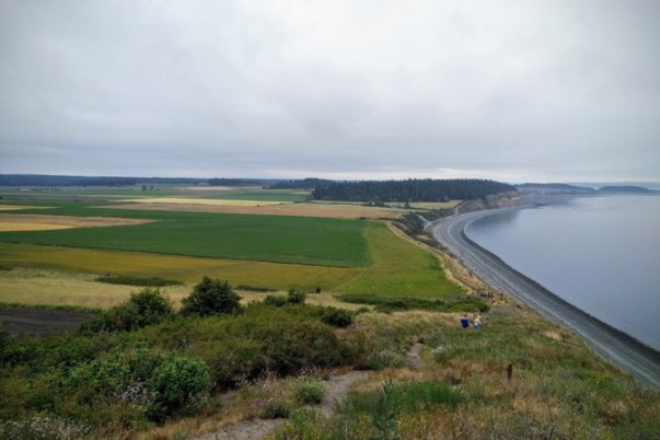 IMG_20190705_1117422