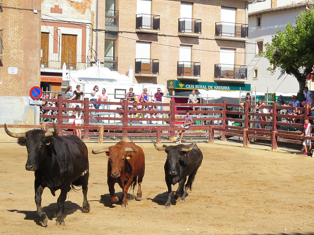 37930160214_4af57bb38e_z