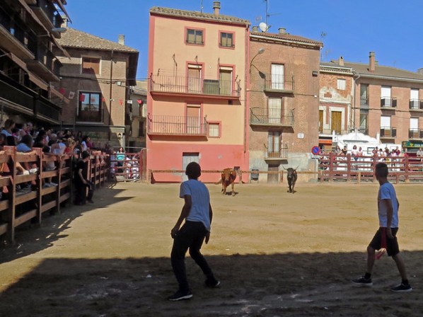 38647685451_5e1133d7c0_z