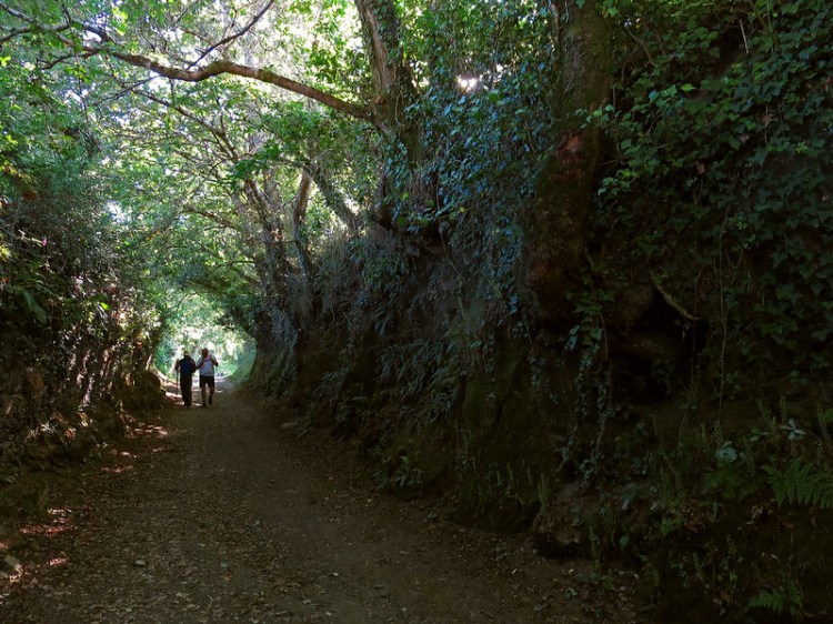 21974442783_68b7e912f7_c