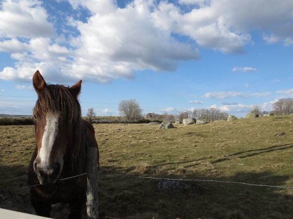 19954806492_19ddda39f9_c