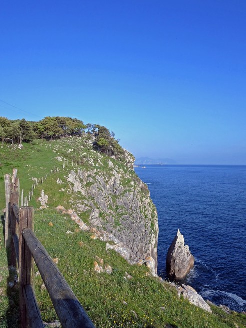 29272508848_64ef25652e_c