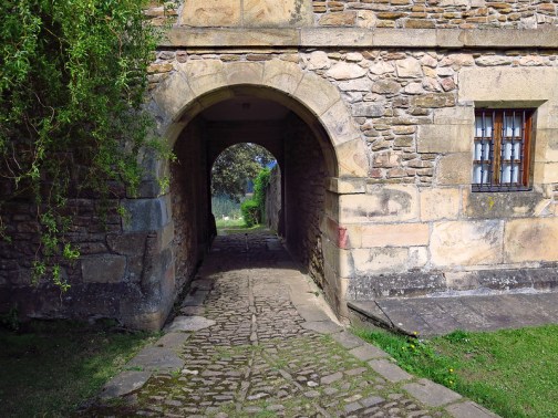 43036425001_ff29fd68a4_c