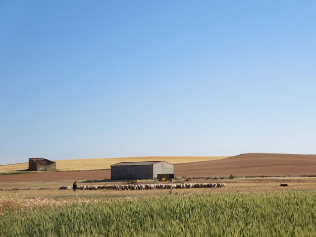 21303901902_b876438d71_c (1)