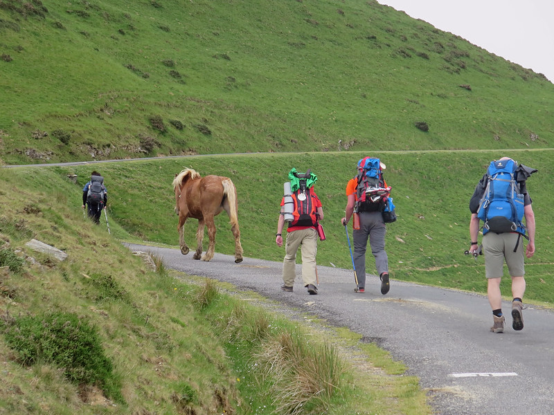 20943849068_392bc0064e_c