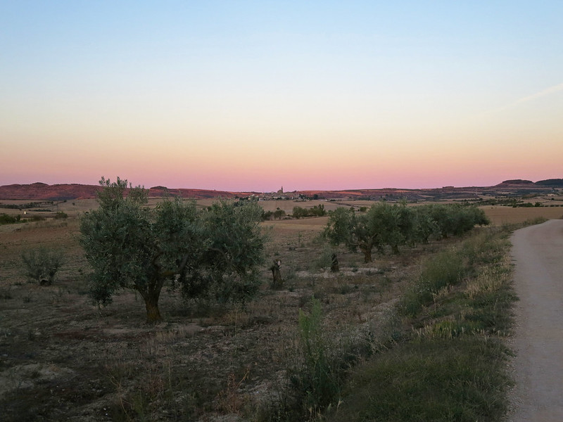 37930146554_553488cd87_c