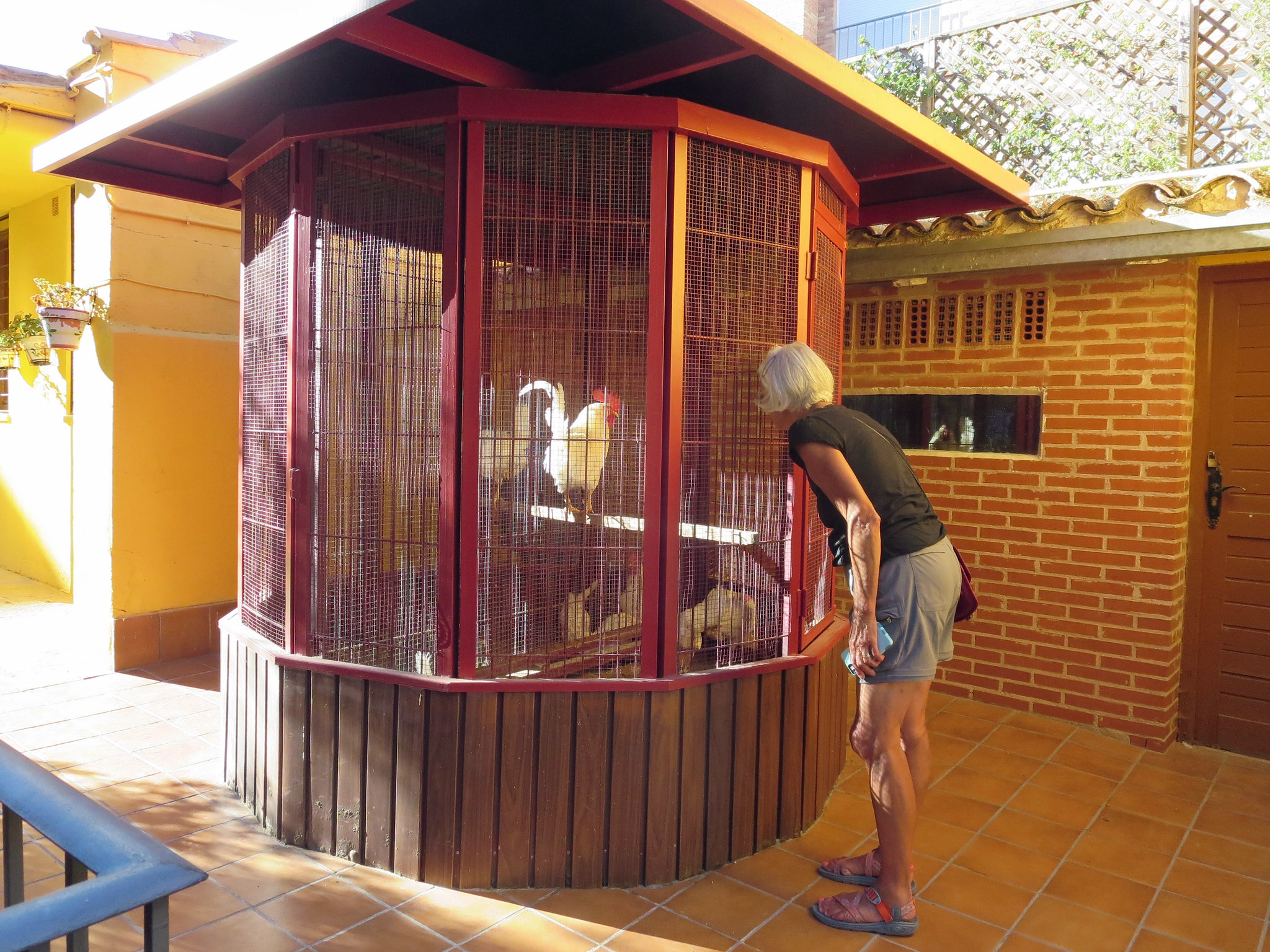 26871795249_c7dc3b8f25_k