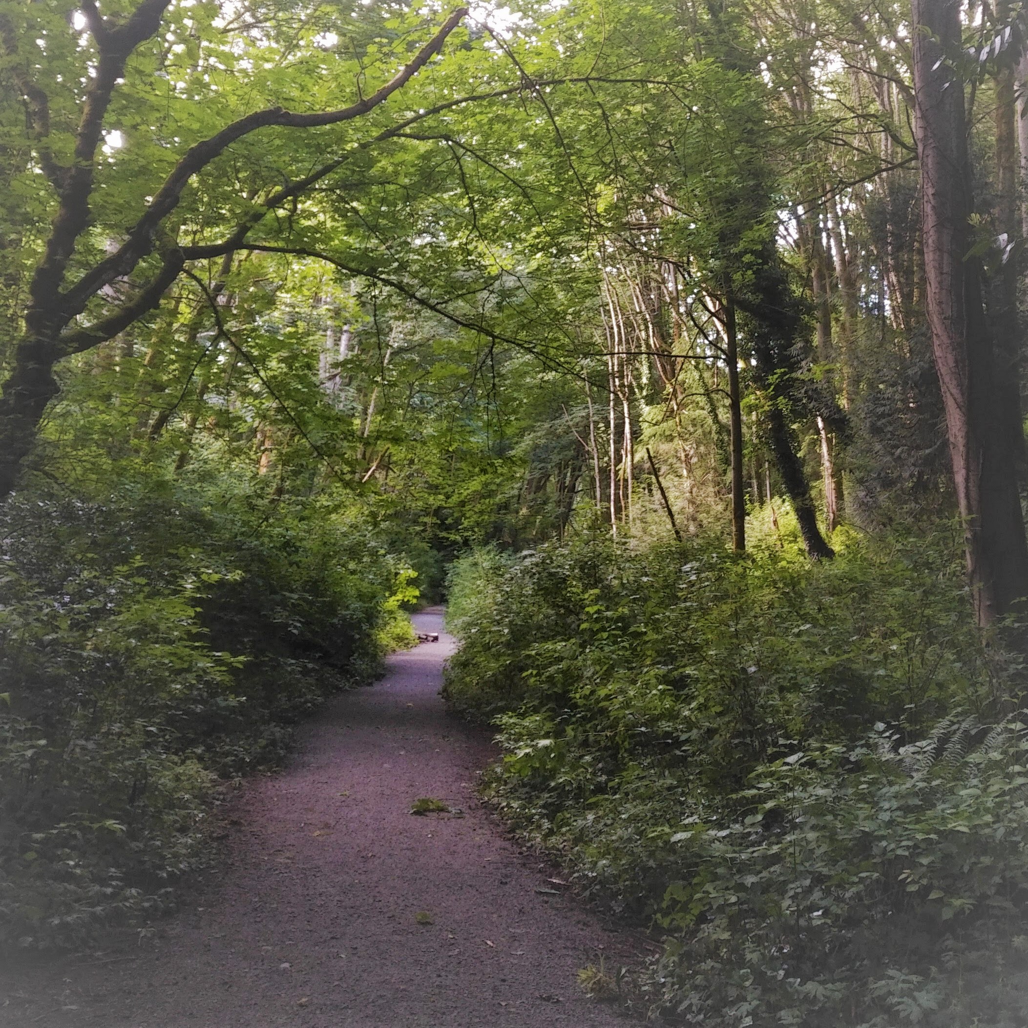 IMG_20200602_1755396 (1)