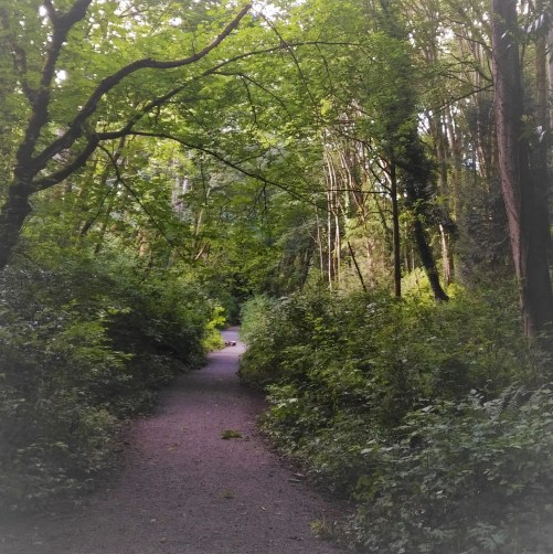 IMG_20200602_1755396 (1)