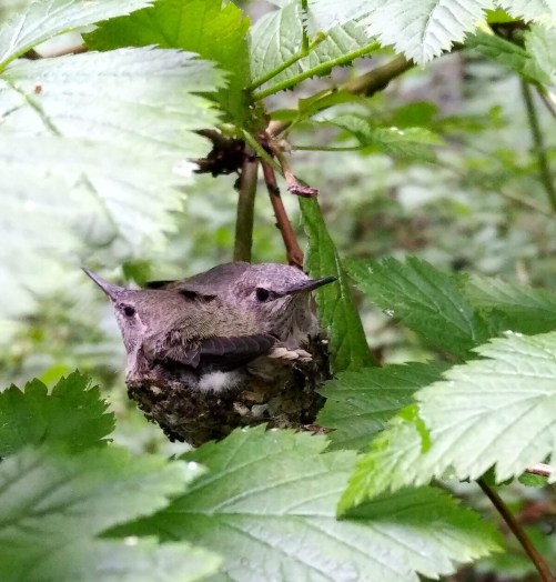 IMG_20200609_1846069 (2)